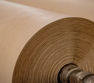 Bobinas 250g - LP Simappel
