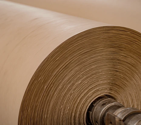 Bobinas 250g - LP Simappel