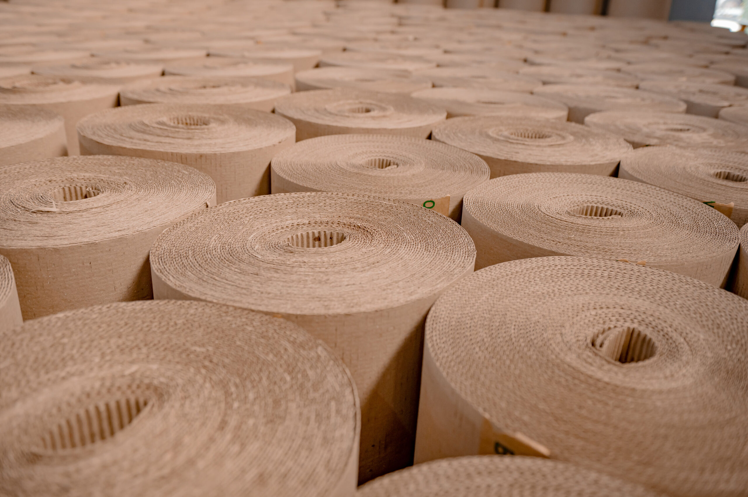Rolos de papelão ondulado em diferentes tamanhos, organizados lado a lado em um ambiente industrial.